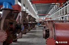 乐鱼官方站网页版登录入口-乐鱼(中国)被评为2019年度三水区骨干企业